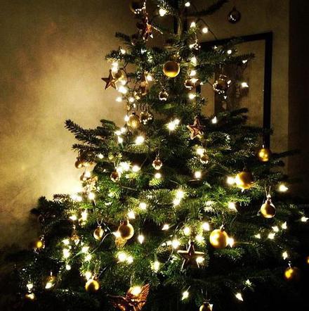 CHOINKI GWIAZD: jak celebryci ubierają choinki