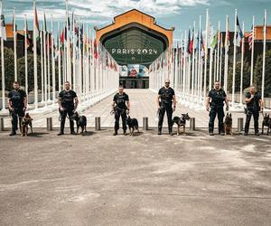 Polscy policjanci jadą pilnować porządku we Francji! Mowa jest o milionach ludzi