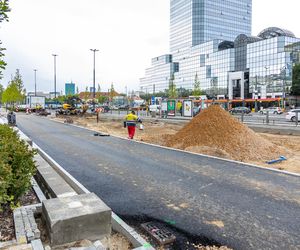 Sadzenie zieleni na placu Bankowym w maju 2025 r.