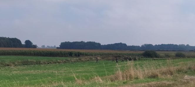 Dron w Cześnikach