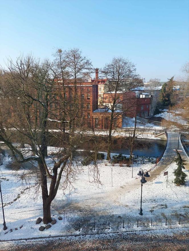 Brytyjscy turyści ocenili Bydgoszcz. Takiego werdyktu nie wydali na żadne inne miasto