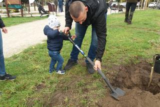 W Szczecinie przybywa dzieci, więc przybywa też drzew
