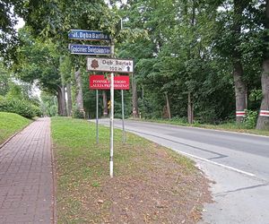 Dąb Bartek w Zagnańsku