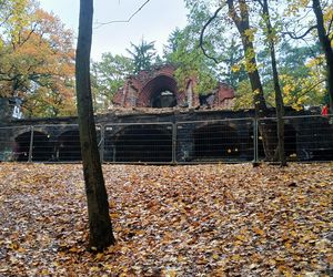 Porządkowanie terenu wokół wieży Quistorpa
