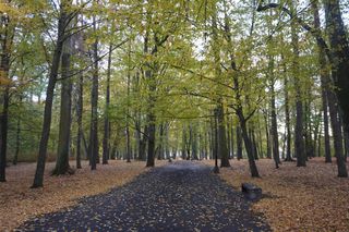 Park Lubomirskich w Białymstoku jesienią 