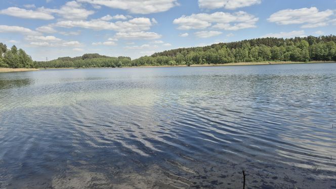 To jezioro w Olsztynie ma niezwykle czystą wodę. Jest kilka dzikich plaż, które świecą pustkami
