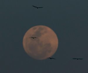 Superksiężyc pojawi się na niebie. Takiego zjawiska jeszcze w tym roku nie było