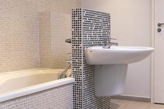 Łazienki z mozaiką: zdjęcia łazienek
