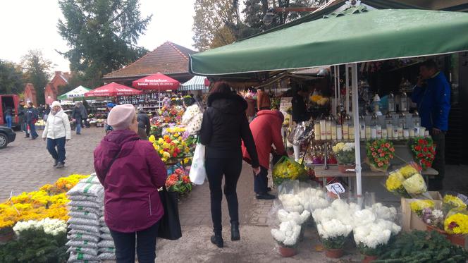 Takie kwiaty i znicze można kupić przy wrocławskich cmentarzach