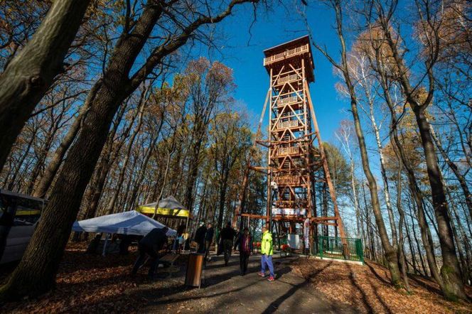 Nowa wieża widokowa w Małopolsce już otwarta. Warto wybrać się tam zwłaszcza jesienią