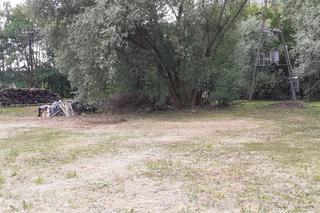 PKP S.A. sprzedaje na Podkarpaciu