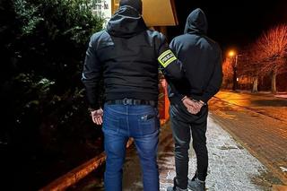 Gang obcokrajowców rozbity w Gdańsku