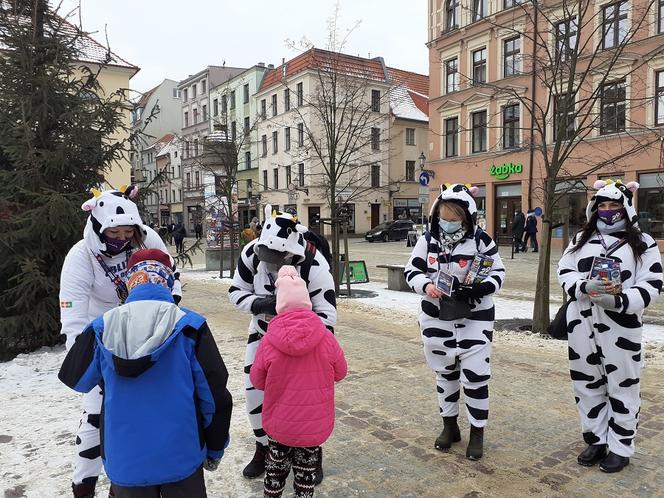 29. finał WOŚP w Toruniu! Tak wyglądało niedzielne święto
