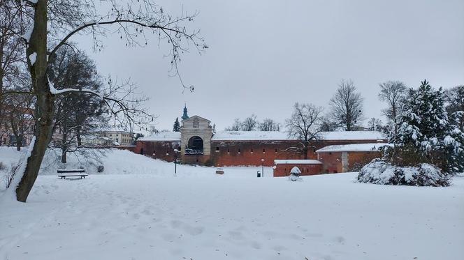Zamojski Park pod śniegiem