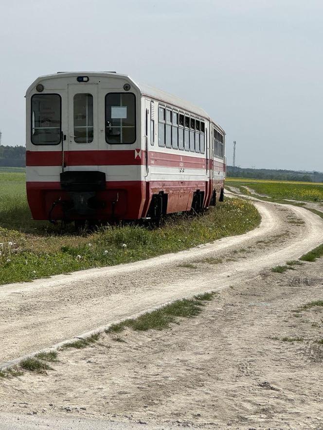 Ciuchcia Ponidzie w sezonie 2024