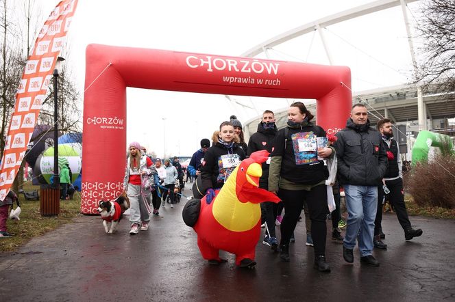 Bieg z Sercem WOŚP w Parku Śląskim. Po raz dziesiąty pobiegli w szczytnym celu