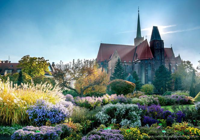 Ogród Botaniczny Uniwersytetu Wrocławskiego zachwyca zwłaszcza wiosną i latem