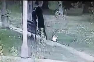 Horror w biały dzień! Dusił Wiktorię i okładał ją pięściami po twarzy. Tomasz chciał zabić 17-latkę