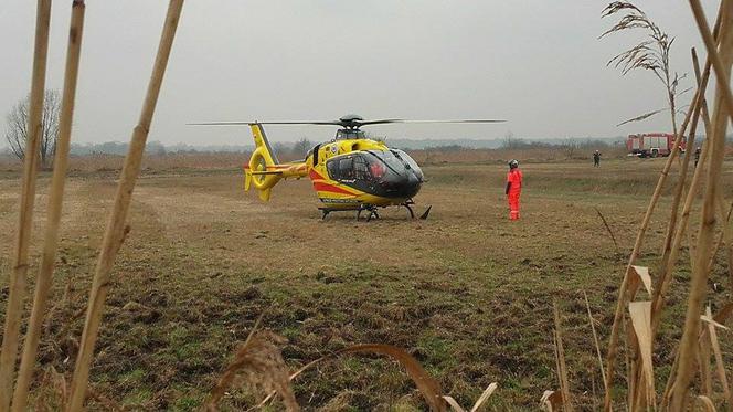 Pociąg uderzył w radiowóz na przejeździe kolejowym