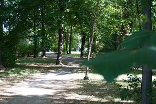 Czas na zmiany w Parku Bronowickim. Tak się prezentuje przed planowaną „metamorfozą”. ZDJĘCIA