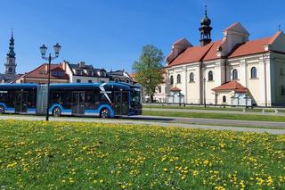 Wiosna w Zamościu . Miasto jeszcze bardziej wypiękniało  [ZOBACZ ZDJĘCIA]