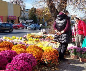 Przygotowania do Wszystkich Świętych Zamość