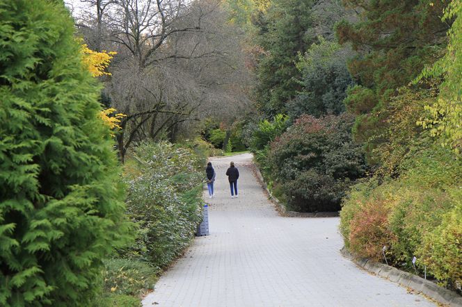 Spacer po jesiennych Ogrodzie Botanicznym w Lublinie