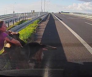 Policjantka z Częstochowy uratowała psy na S5