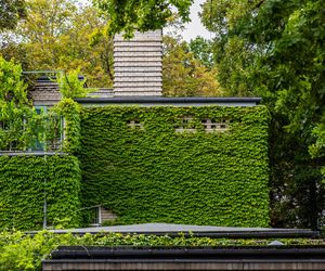 Willa Romualda Gutta na Kolonii Profesorskiej w Warszawie