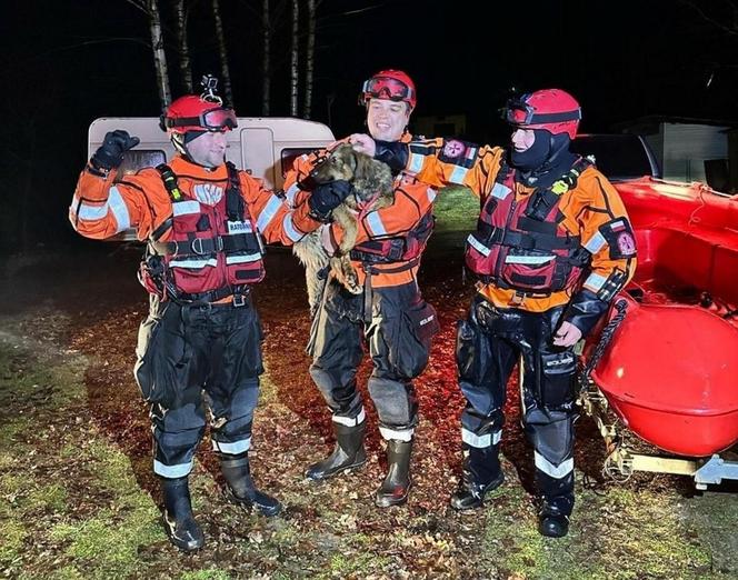 Przejechali 700 km żeby uratować psa uwięzionego na środku Bugu. Ratownicy z Kołobrzegu bohaterami