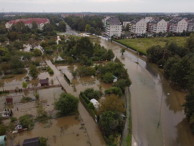  Fala powodziowa we Wrocławiu. Podtopienia na osiedlu Stabłowice