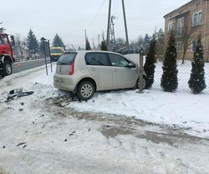 Samochód przebił ogrodzenie i staranował tuję. Pijany sprawca odpowie przed sądem