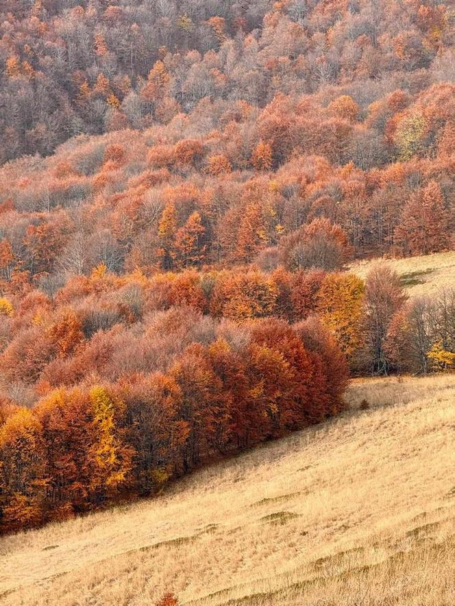 Jesienne Bieszczady