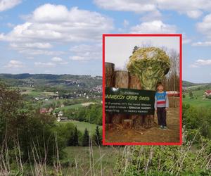 Największego grzyba świata znaleziono pod Tarnowem. Mieszańcy postawili mu pomnik!