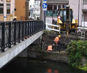 Koparki pracują na brzegu Brdy, przy farze w Bydgoszczy. To inwestycja z myślą o... rybach