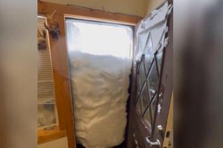 Zima na całego w Kalifornii! W ciągu doby spadło 90 cm śniegu [ZDJĘCIA]