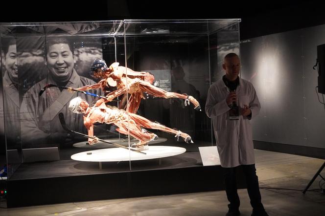 Wystawa z ludzkiego ciała. Body Worlds powróciła do Gdańska po 5 latach 