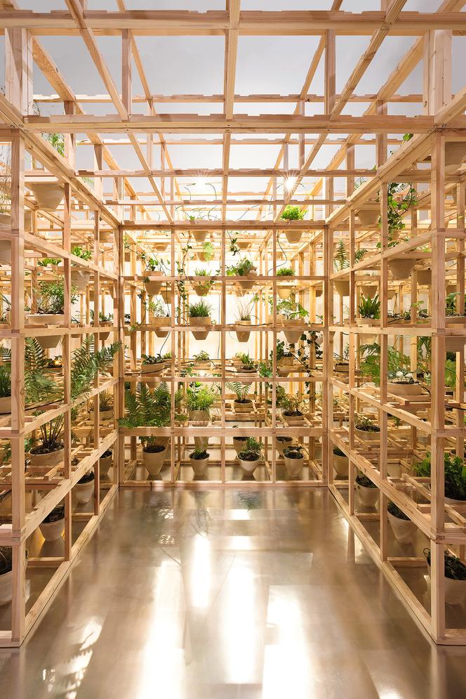 Greenhouse Silent Disco