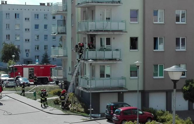 Strażacy szybko poradzili sobie z ogniem.