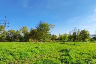 Zielone płuca Krakowa będą zabetonowane? Byłe lotnisko Rakowice Czyżyny ma stać się dojazdem do Małopolskiego Centrum Nauki