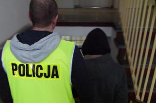 Podejrzani o podpalenia są w rękach policji -  grozi im długa odsiadka