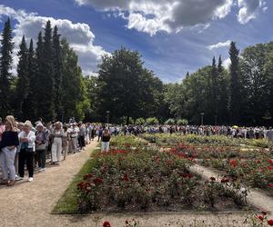 Kolejka tort urodziny Szczecina 