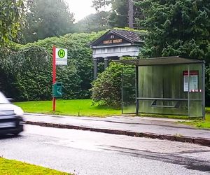 Ohlsdorfer Friedhof w Hamburgu