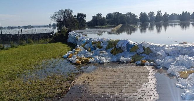 Walka z powodzią NA ŻYWO. Fala kulminacyjna przechodzi przez województwo lubuskie 