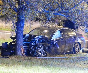 Kierowca Mercedesa pod wpływem wjechał w filar wiaduktu, odbił się i huknął w drzewo