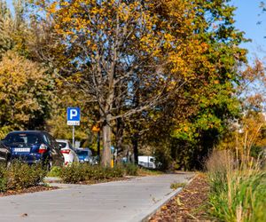 Park linearny na Bielanach w Warszawie