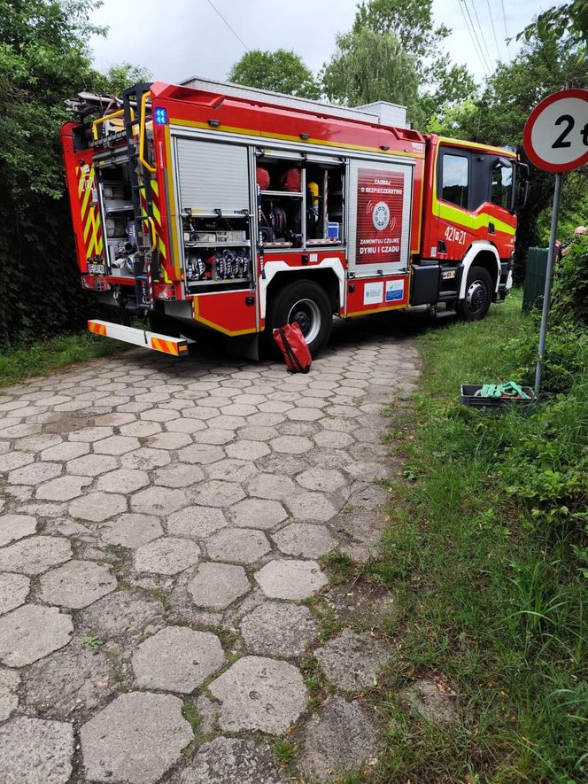 Staruszka wjechała samochodem do stawu! Dramatyczna akcja strażaków