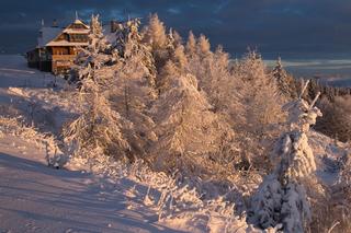 Małopolska góra pełna atrakcji. Jaworzyna Krynicka zachwyca pięknem 