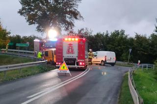 Zderzeniu samochodu osobowego z busem w Marcinkowie [ZDJĘCIA]