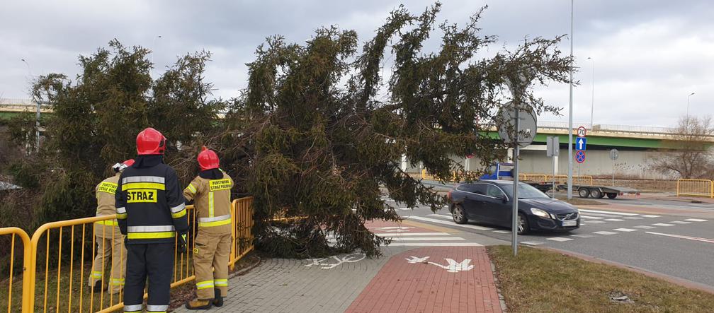 Orkan Eunice narobił szkód w Świętokrzyskiem